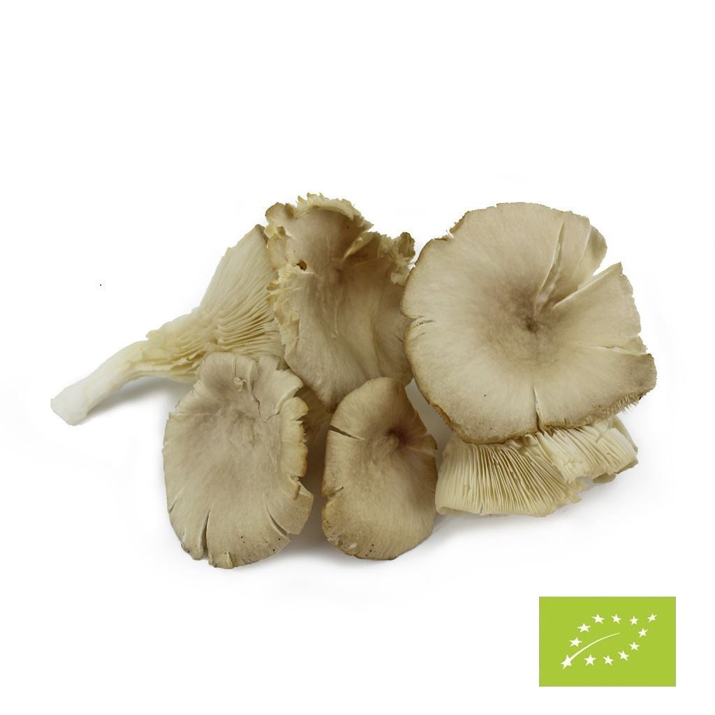 Grzyby boczniaki świeże bio Polska - około 2 kg