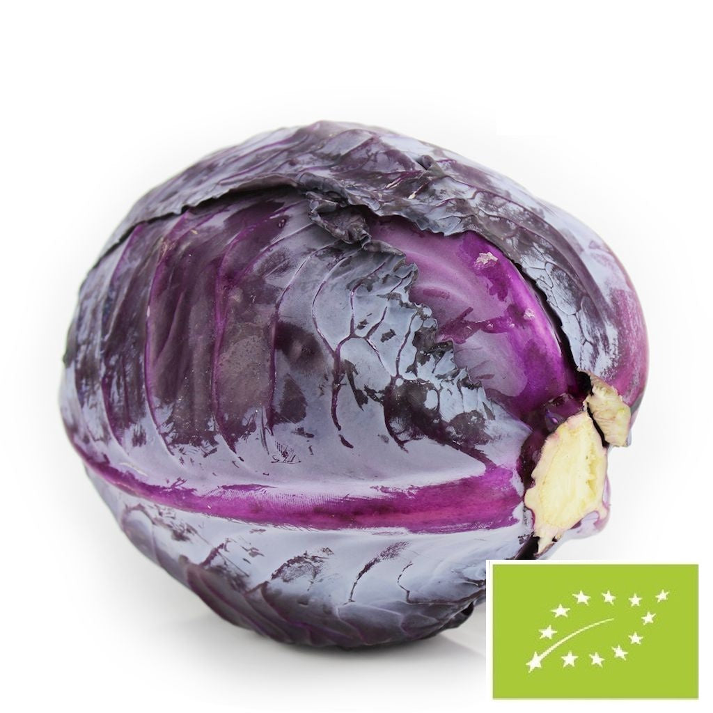 Opakowanie zbiorcze (kg) - kapusta czerwona młoda świeża bio (Polska) (około 10 kg)
